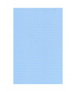 feuille de polyester - impression blanche - rectangles de 1,50mm x 3,00mm - 0,50mm - 220/310mm  ( 103 016 )